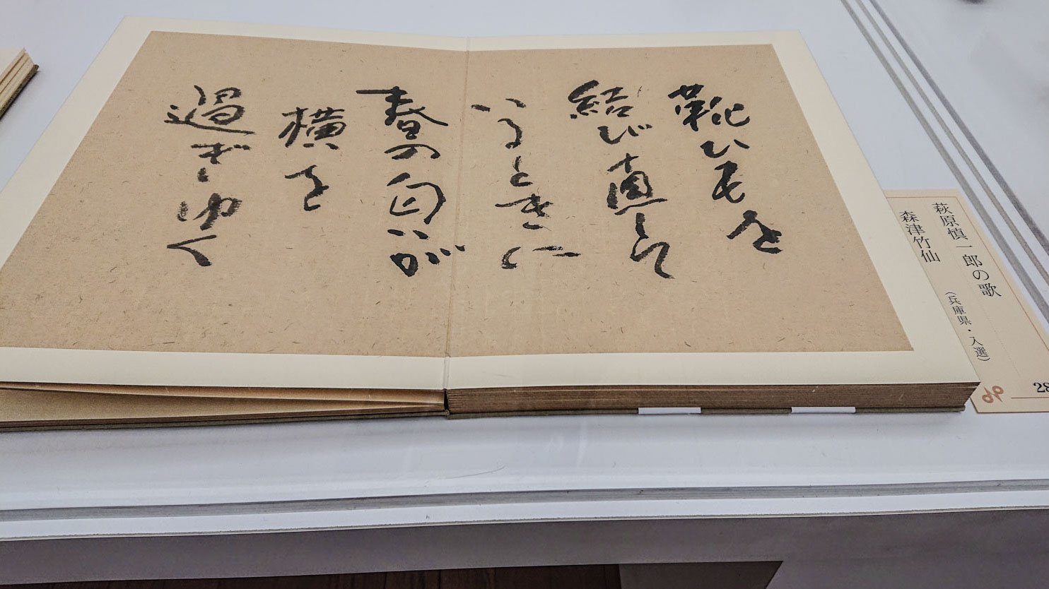 書道家 森津竹仙 『萩原慎一郎の歌』